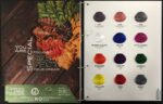ENVIE VEGAN GREEN HAIR COLOR