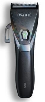 Wahl kuno